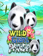 เครดิต ฟรี roma: วิธีเล่นและเทคนิคเบื้องต้น